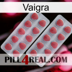 Vaigra 19